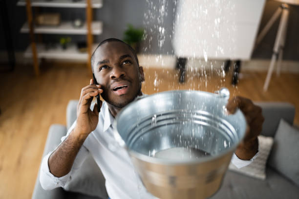 Best Water damage contractors near me  in Winchester, OH