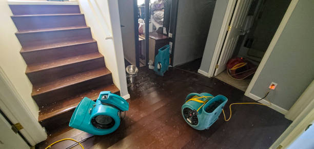 Best Flooded house restoration  in Winchester, OH