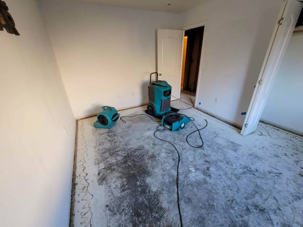 Best Sewage cleanup and water damage restoration  in Winchester, OH