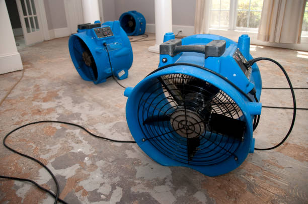 Best Water damage restoration insurance claims  in Winchester, OH