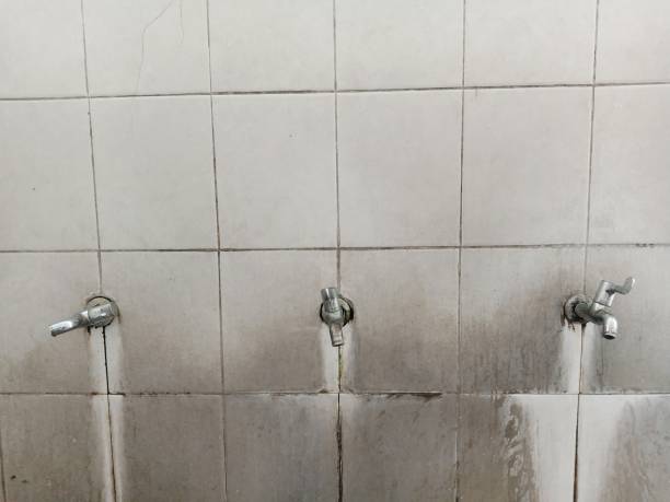 Best Water damage contractors near me  in Winchester, OH