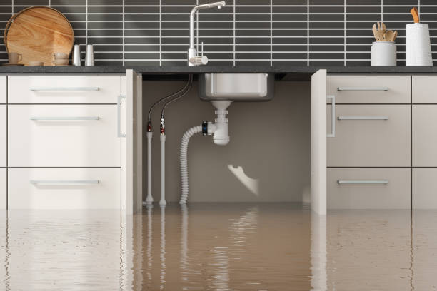 Best Sewage cleanup and water damage restoration  in Winchester, OH