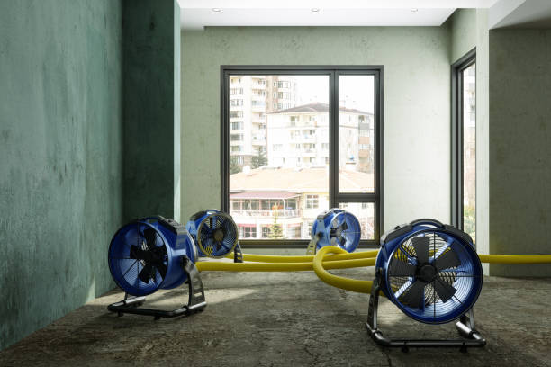 Best Water damage cleanup near me  in Winchester, OH