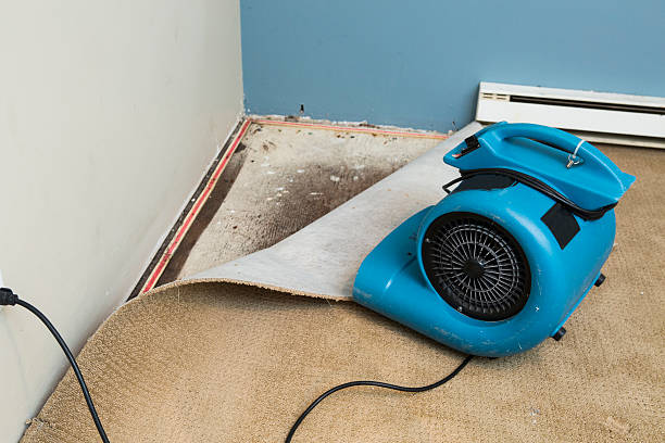 Best Local water damage restoration  in Winchester, OH